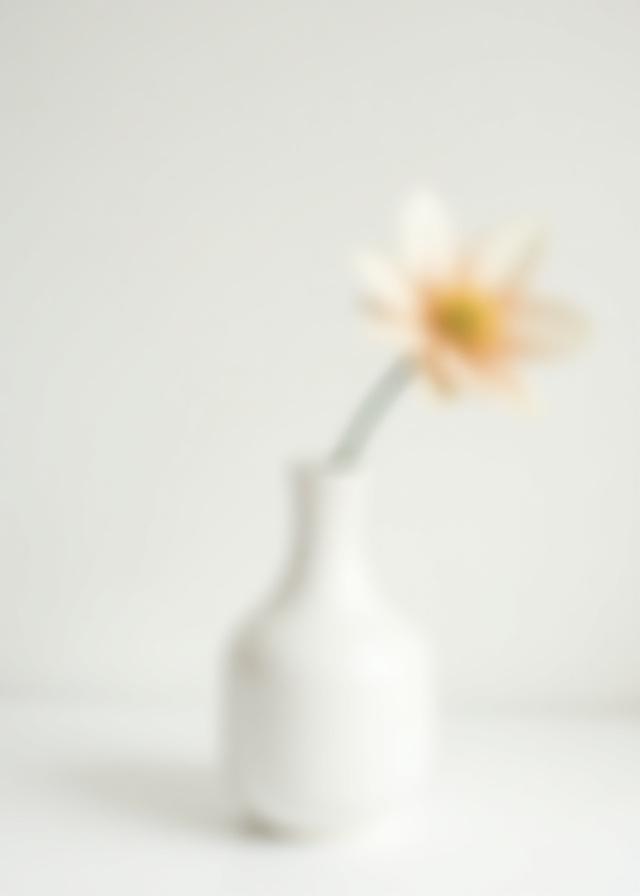 Enkel blomma i en minimalistisk vas.